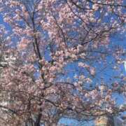 ヒメ日記 2026/04/20 14:43 投稿 りおな ラッシュアワー