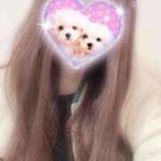 ヒメ日記 2026/02/13 15:03 投稿 アルカ 【福岡デリヘル】20代・30代★博多で評判のお店はココです！