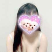 ヒメ日記 2026/02/20 15:49 投稿 アルカ 【福岡デリヘル】20代・30代★博多で評判のお店はココです！