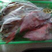 ヒメ日記 2026/03/03 02:45 投稿 ゆず 成田人妻花壇