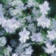 ヒメ日記 2026/02/06 12:27 投稿 淡雪小梅 お姉さんCLUB