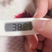 ヒメ日記 2026/02/14 15:36 投稿 淡雪小梅 お姉さんCLUB