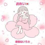 ヒメ日記 2026/04/10 03:33 投稿 桜庭ねいろ 四季～SIKI～