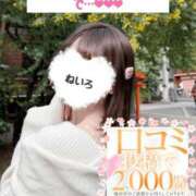 ヒメ日記 2026/04/10 12:15 投稿 桜庭ねいろ 四季～SIKI～