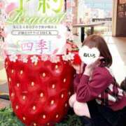 ヒメ日記 2026/04/11 19:03 投稿 桜庭ねいろ 四季～SIKI～