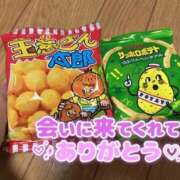 ヒメ日記 2026/03/01 04:51 投稿 すいれん 春日部人妻花壇