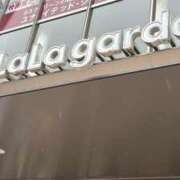 ヒメ日記 2026/03/03 18:41 投稿 すいれん 春日部人妻花壇