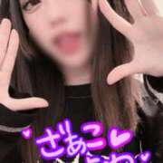 ヒメ日記 2026/02/11 13:00 投稿 マリンお嬢様 M&m Maidとm男の夢物語。