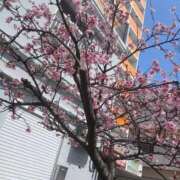 ヒメ日記 2026/02/21 15:29 投稿 しゅあ アネックスジャパン