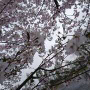 ヒメ日記 2026/04/03 18:29 投稿 しゅあ アネックスジャパン