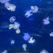 あのあ 出勤時間変更❣️ SAPPORO ばつぐんnet