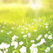 ヒメ日記 2026/02/24 16:44 投稿 徳井 あけみ エレガンス(福島)