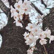 ヒメ日記 2026/04/09 14:09 投稿 徳井 あけみ エレガンス(福島)