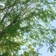 ヒメ日記 2026/05/02 14:42 投稿 徳井 あけみ エレガンス(福島)