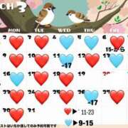 ヒメ日記 2026/03/10 20:01 投稿 Ichika THE PREMIUM （プレミアム）