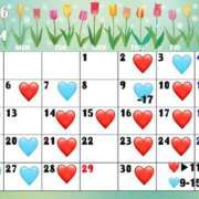 ヒメ日記 2026/03/28 12:46 投稿 Ichika THE PREMIUM （プレミアム）