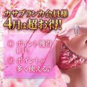 ヒメ日記 2026/04/01 16:08 投稿 美月ひとみ 熟女パラダイス池袋店(カサブランカグループ)