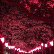 ヒメ日記 2026/04/02 00:32 投稿 かのん 華椿（YESグループヨコハマ）