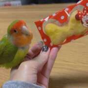 ヒメ日記 2026/04/12 18:28 投稿 かのん 華椿（YESグループヨコハマ）