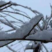 ヒメ日記 2026/02/15 12:21 投稿 みれい ニューヨーカー