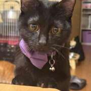 中野 りょうこ 次回出勤日！ ベストマダム