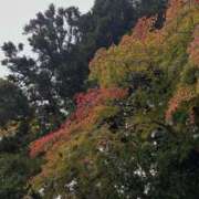 ヒメ日記 2026/01/22 19:58 投稿 ☆るみ☆ ◆プラウディア◆AAA級素人娘在籍店