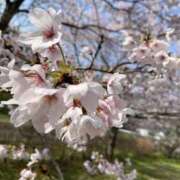 ヒメ日記 2026/04/13 10:08 投稿 ☆るみ☆ ◆プラウディア◆AAA級素人娘在籍店