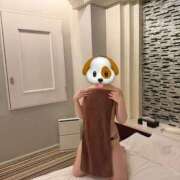 ヒメ日記 2026/02/19 08:31 投稿 なぎ 池袋人妻ヒットパレード（シンデレラグループ）