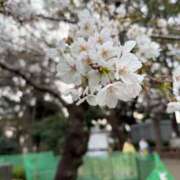 ヒメ日記 2026/03/29 20:09 投稿 なぎ 池袋人妻ヒットパレード（シンデレラグループ）