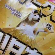 ヒメ日記 2026/01/28 22:52 投稿 あさひ ハピネス福岡