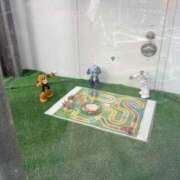 ヒメ日記 2026/03/11 11:22 投稿 あさひ ハピネス福岡