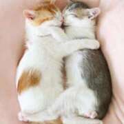 みつき お礼🩷🌟✨ ごほうびSPA池袋店