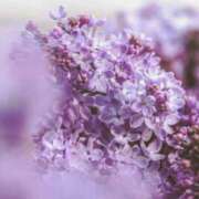 有純【あずみ】 映画ノート🎬 輝女