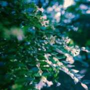 有純【あずみ】 出勤🫡 輝女