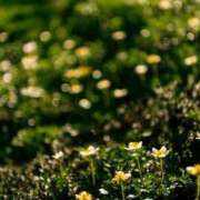 ヒメ日記 2026/03/16 07:55 投稿 有純【あずみ】 輝女