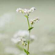 ヒメ日記 2026/03/22 07:41 投稿 有純【あずみ】 輝女