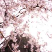 ヒメ日記 2026/03/24 07:39 投稿 有純【あずみ】 輝女