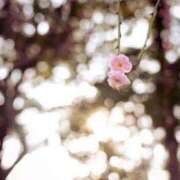 ヒメ日記 2026/03/28 07:41 投稿 有純【あずみ】 輝女