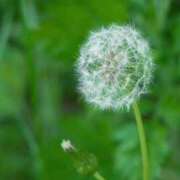 ヒメ日記 2026/03/31 07:42 投稿 有純【あずみ】 輝女