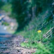 ヒメ日記 2026/04/08 07:36 投稿 有純【あずみ】 輝女