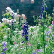 ヒメ日記 2026/05/15 08:08 投稿 有純【あずみ】 輝女