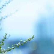 ヒメ日記 2026/05/19 07:37 投稿 有純【あずみ】 輝女