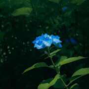 ヒメ日記 2026/06/18 07:16 投稿 有純【あずみ】 輝女