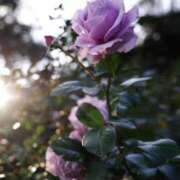 有純【あずみ】 秋晴れの金曜日🌿 輝女
