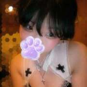 ヒメ日記 2026/01/29 13:08 投稿 せんせぃ ワンダフル