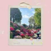 ヒメ日記 2026/04/21 12:52 投稿 胡桃 熟女の風俗最終章　鶯谷店