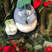 ヒメ日記 2026/02/01 10:26 投稿 ともこ 即トク奥さん