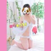 ヒメ日記 2026/04/15 01:26 投稿 めぐみ 白いぽっちゃりさん