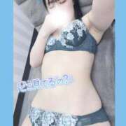 ヒメ日記 2026/04/15 07:48 投稿 めぐみ 白いぽっちゃりさん