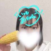 ヒメ日記 2026/08/07 18:04 投稿 めぐみ 白いぽっちゃりさん